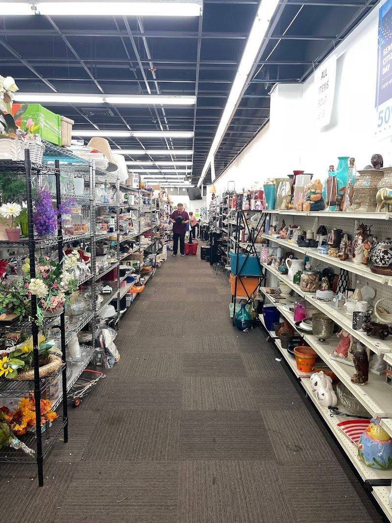 Navigating the Checkout Lines Like a Pro