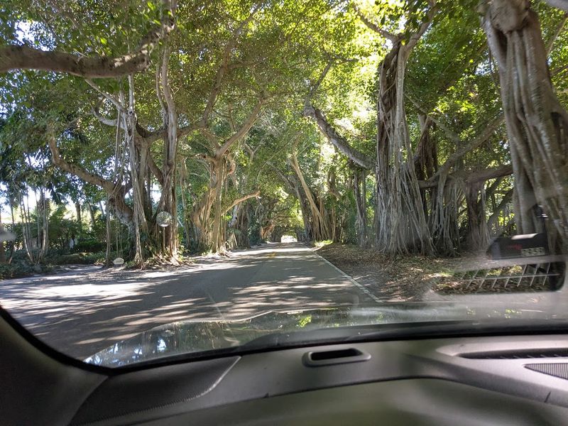 Nearby Attractions Worth Pairing With Your Visit Nearby Attractions Worth Pairing With Your Visit