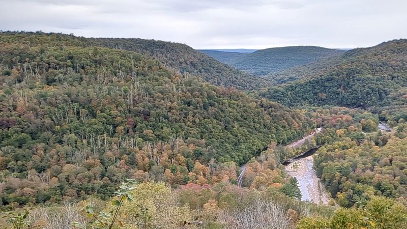 Nearby Forksville: Local Food and Small-Town Charm