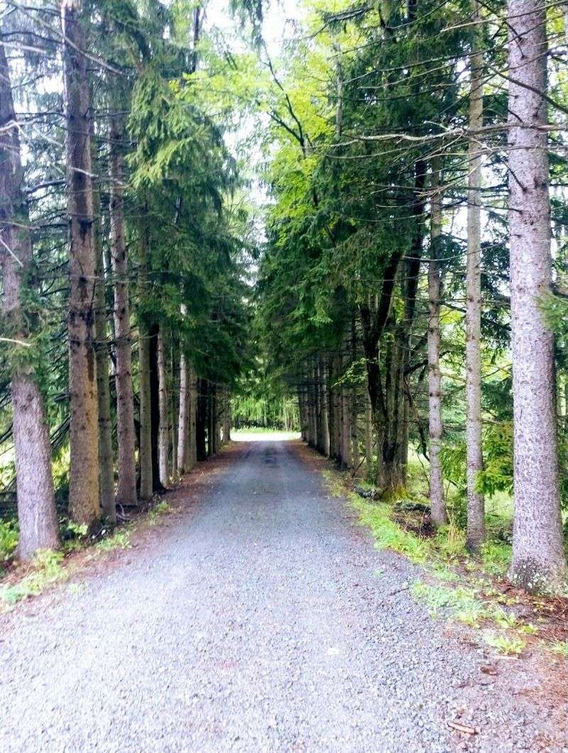 Nearby Lake Wallenpaupack and Day Trip Adventures