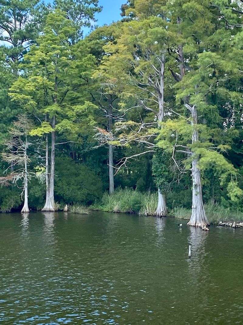 Nearby Nature and Outdoor Adventures