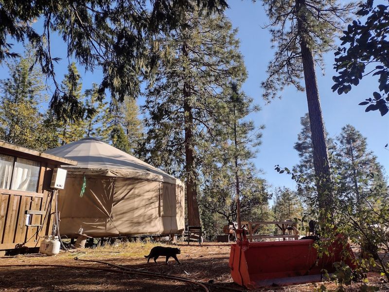 Nevada City, California