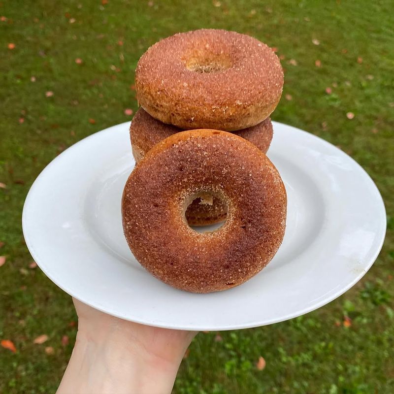 New Hampshire – Apple Cider Doughnut