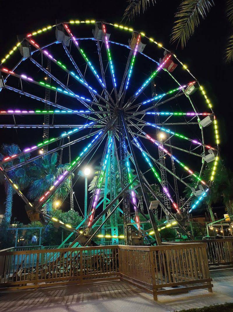 Nighttime Hours That Make the Whole Experience Feel Magical