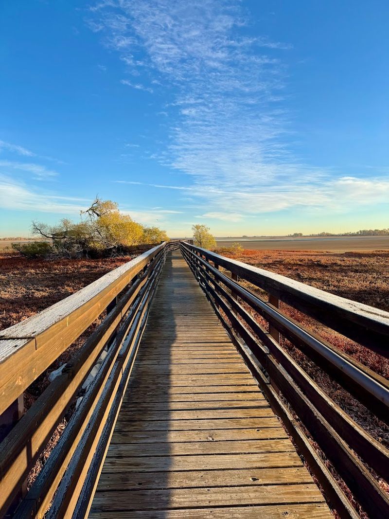Nine Miles of Scenic Lakeside Trails