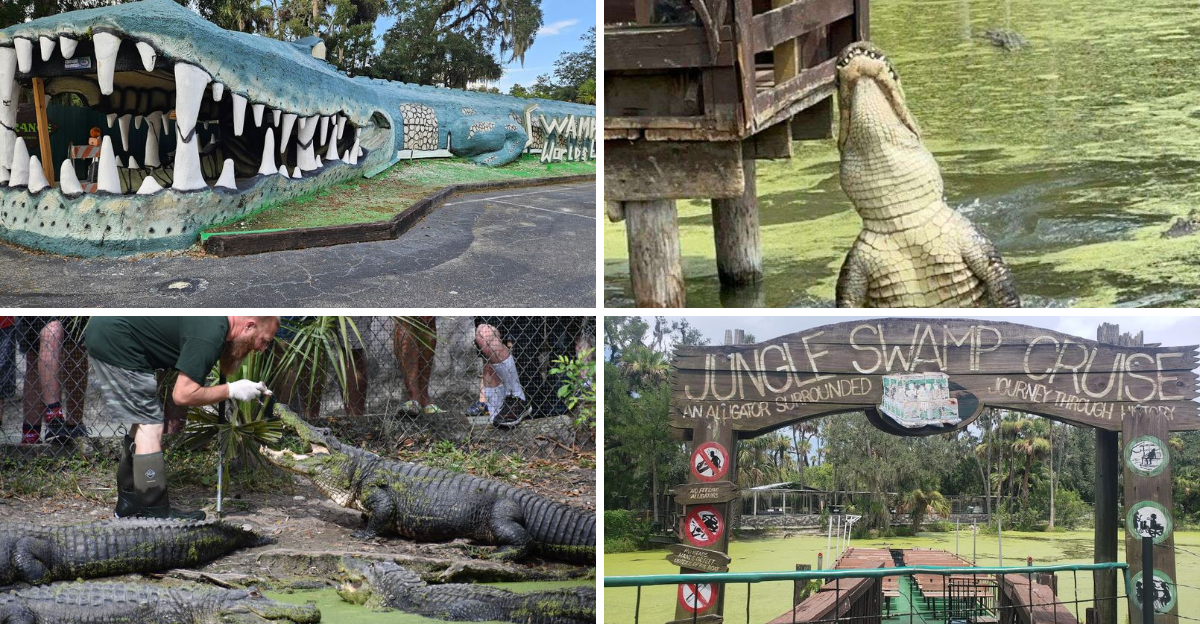 No Place Does Family Fun Quite Like This Quirky Roadside Zoo In Florida
