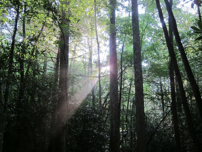 No Reservations Required: A Refreshingly Accessible Wilderness