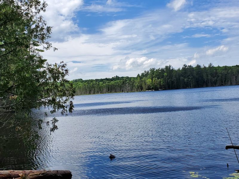 Northern Pike Fishing That Will Get Your Heart Pumping