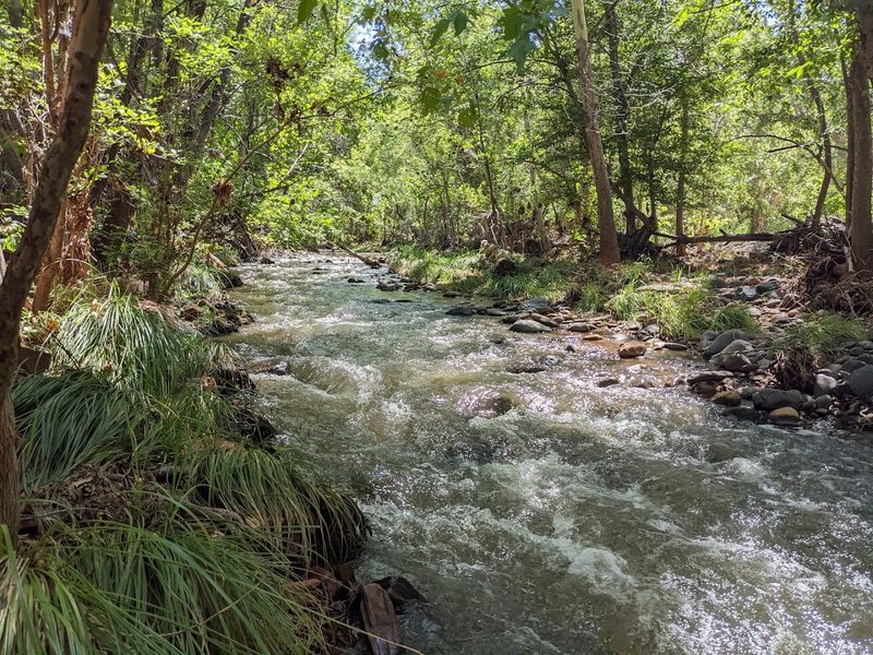 Oak Creek: The Shimmering Waterway Running Through the Park