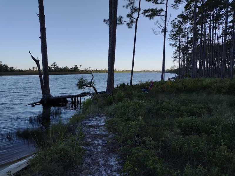 Ochlockonee River State Park - Sopchoppy, Florida