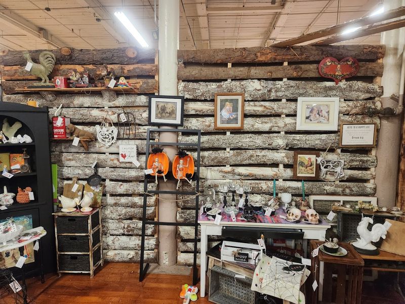 Oddities and Curiosities That Keep You on Your Toes
