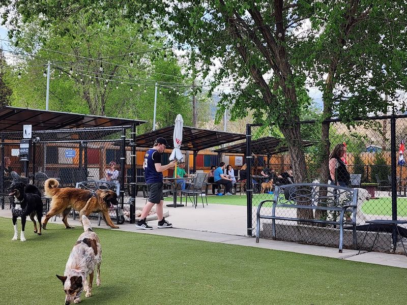 Off-Leash Freedom in a Clean, Safe, and Supervised Environment