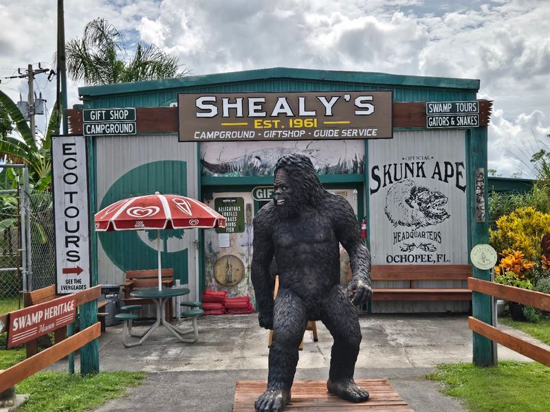 Old Florida Roadside Charm Done Right