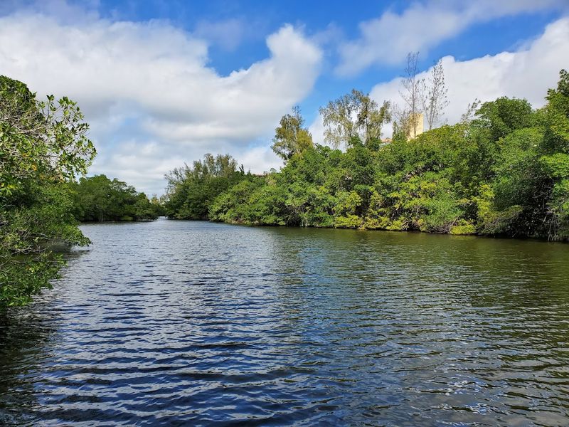 Oleta River Views Along the Trail