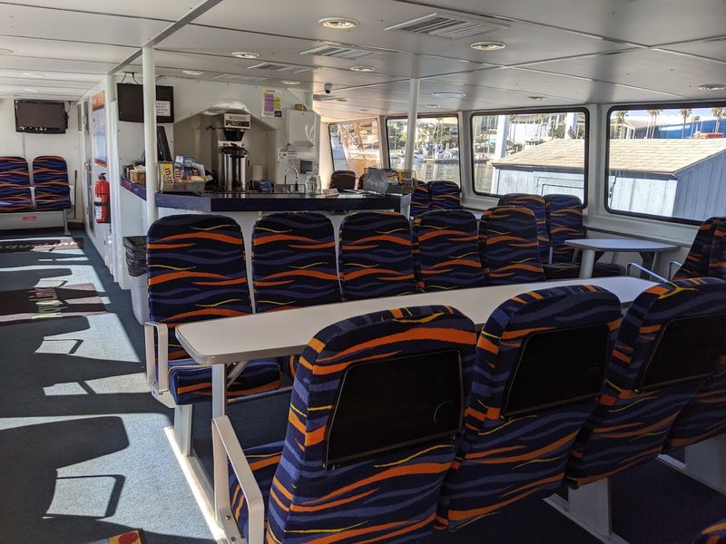 Onboard Snacks, Drinks, and Even a Floating Bar