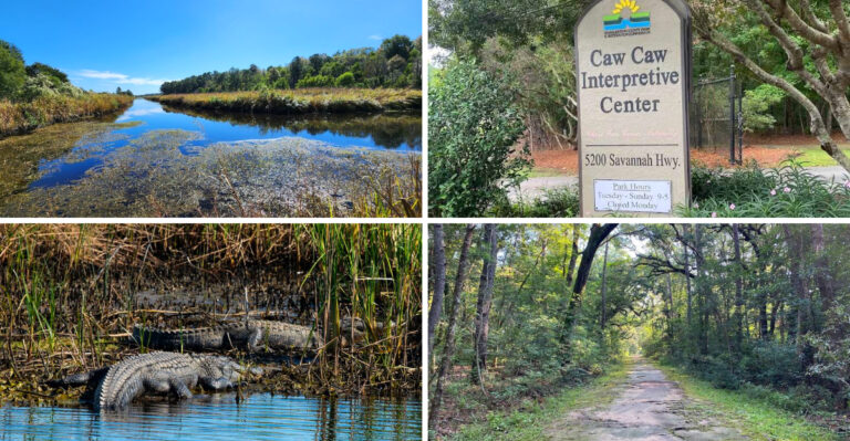 One Of South Carolina’s Most Overlooked Hikes Is This Breathtaking 3.6-Mile Trail