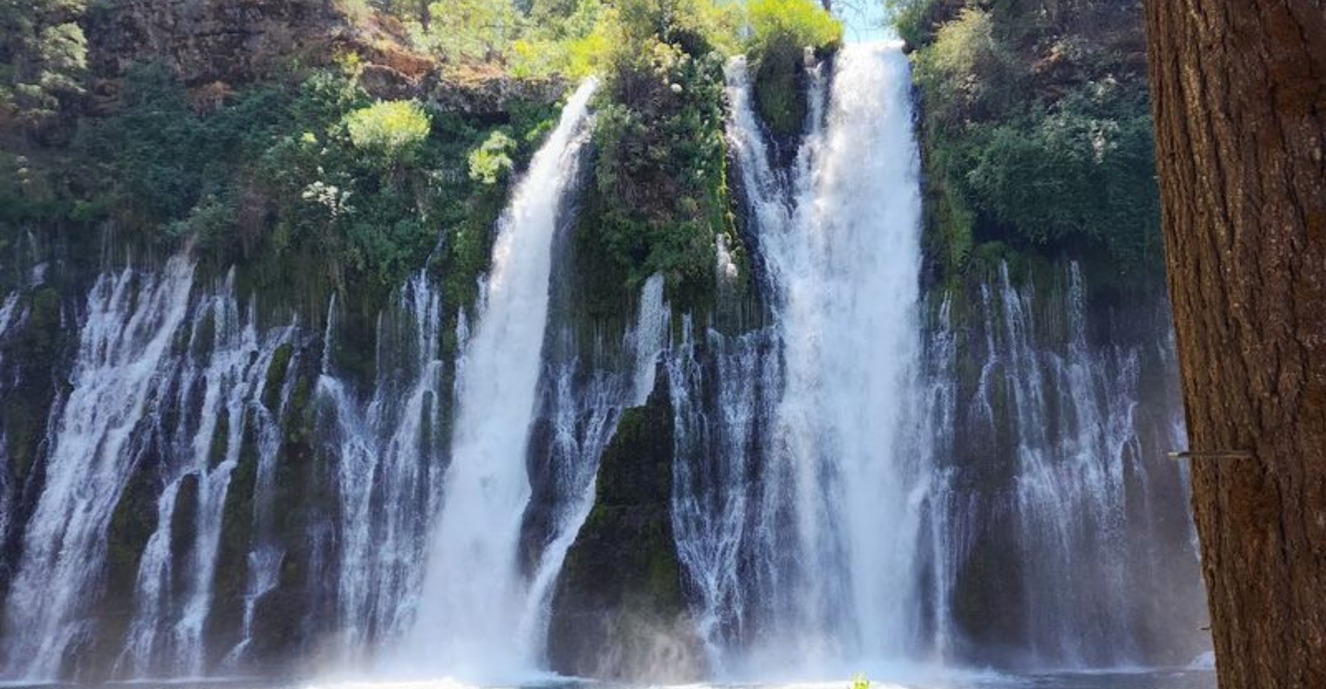 One Trip To This Otherworldly California State Park And You’ll Feel Like You’ve Entered A Fantasy Film