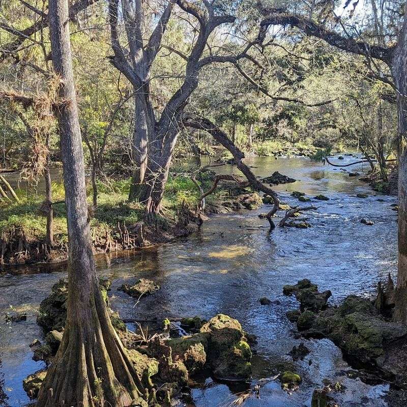 One of Florida's Very First State Parks With a Rich History