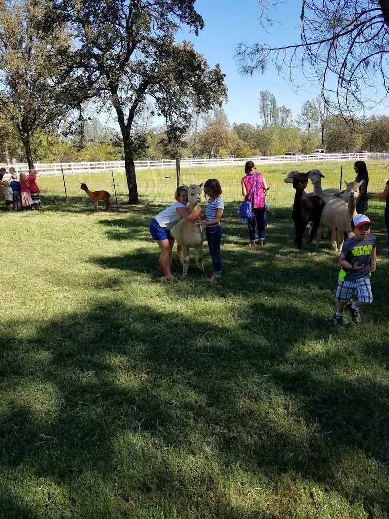 Open House Events That Bring the Community Together