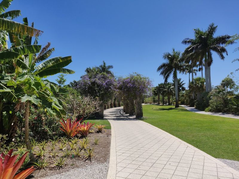 Orchid Garden That Stops You Right in Your Tracks
