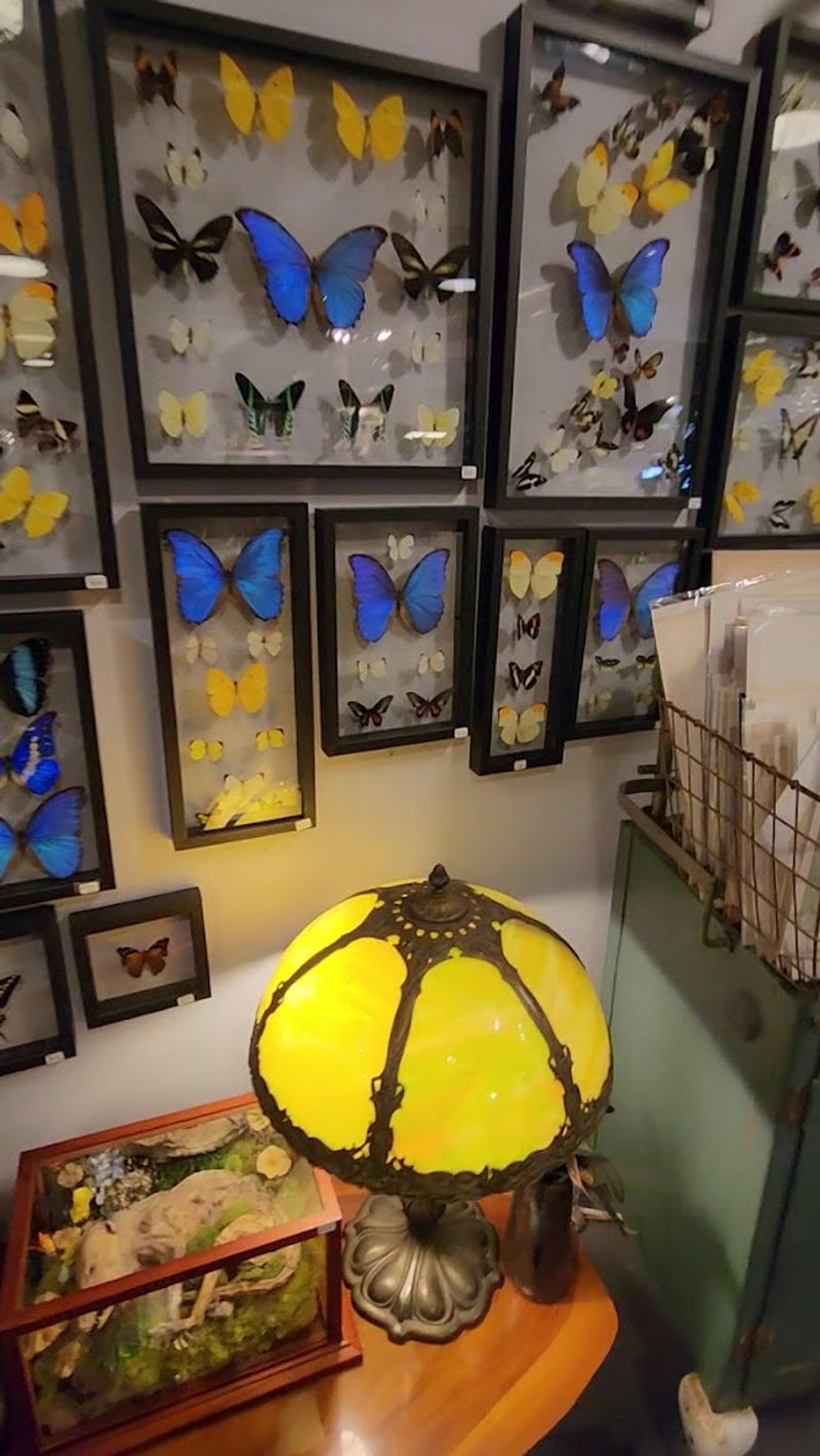 Oriental Lamps and Decorative Art Pieces