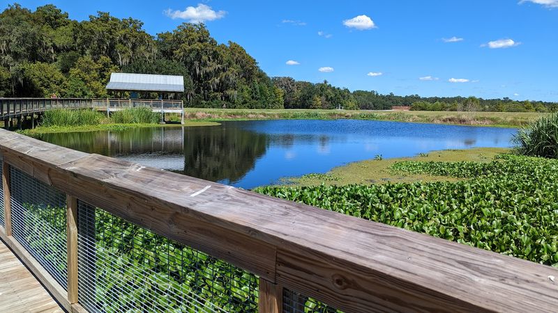 Outdoor Life That Costs Almost Nothing
