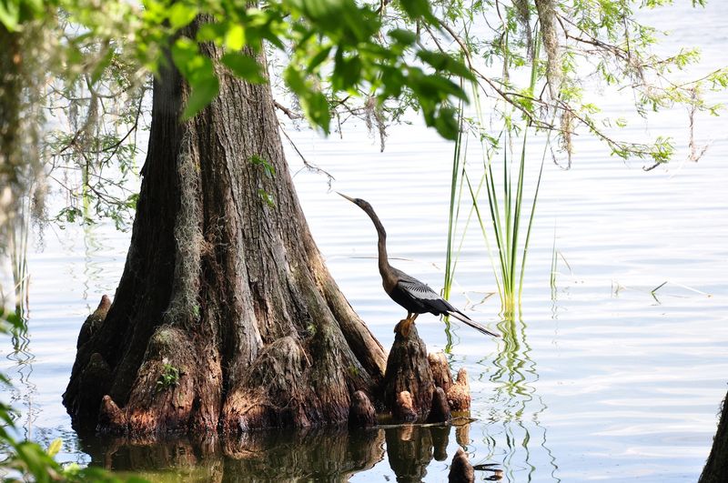 Outdoor Recreation That Costs Virtually Nothing