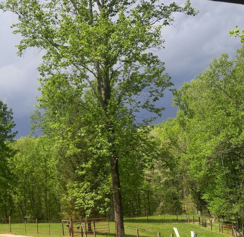 Outdoor Recreation That Goes Beyond the River