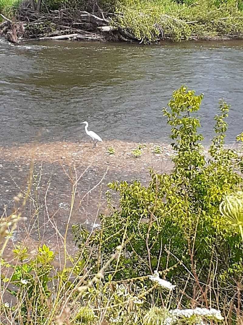Outstanding Birdwatching Opportunities