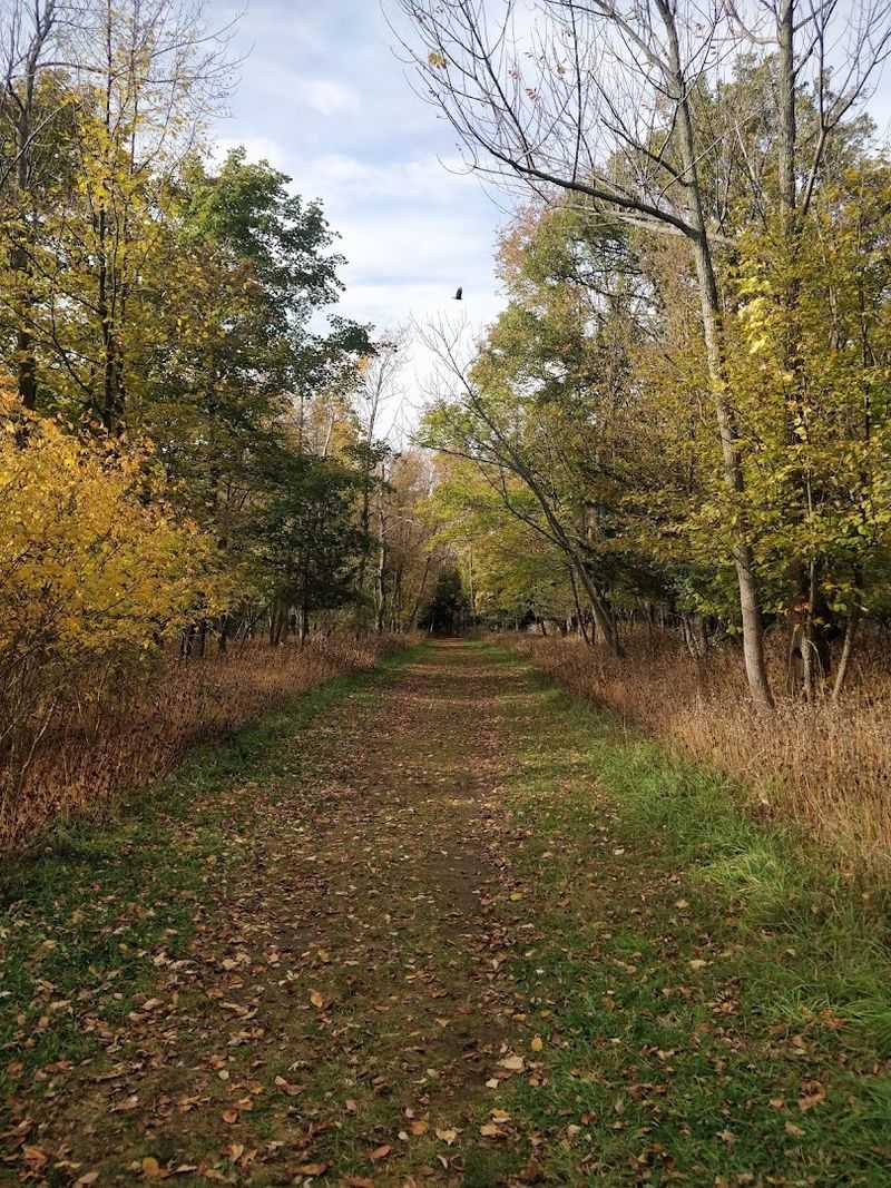 Over 10 Miles of Trails for Every Skill Level