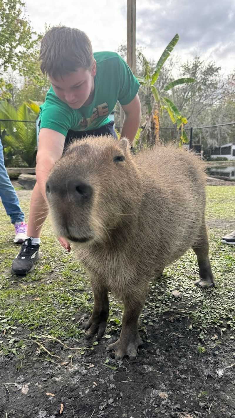 Over 100 Rescued Exotic Animals Call This Place Home