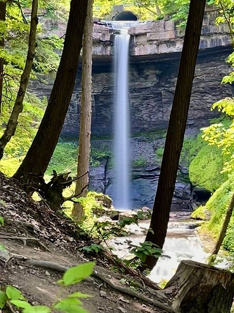 Over 160 Steps Down to the Gorge