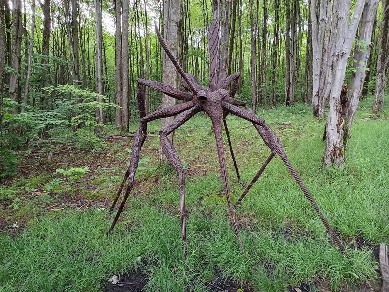 Over 250 Sculptures Waiting to Be Discovered