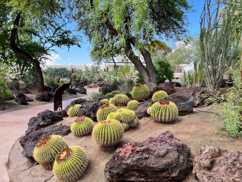 Over 300 Plant Species From Around the World