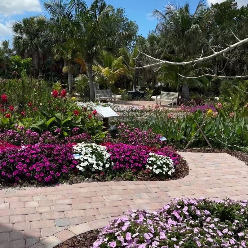 Over 4,500 Plants That Turn Every Corner Into a New Discovery