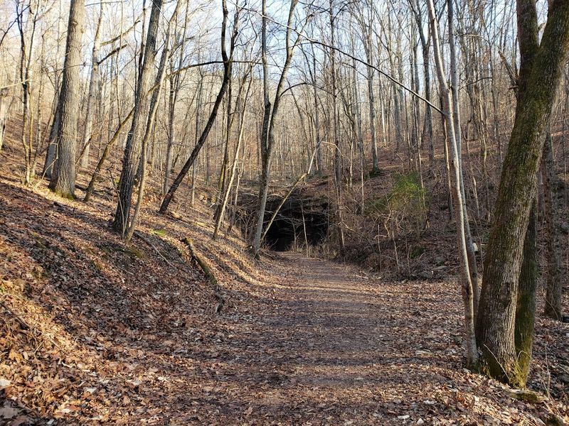 Over 560 Acres of Beautiful Trails to Explore