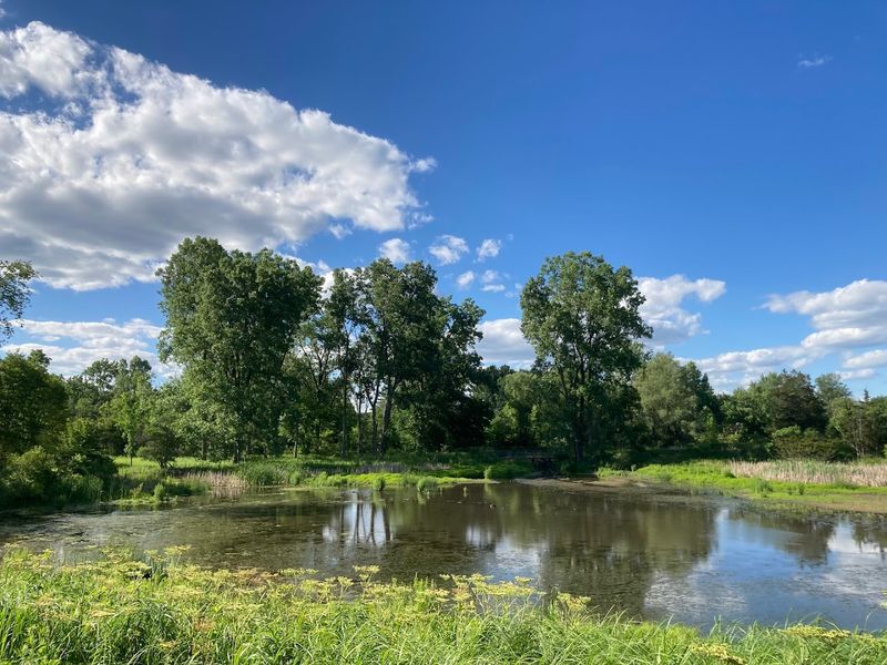 Over Three Miles of Well-Kept Nature Trails