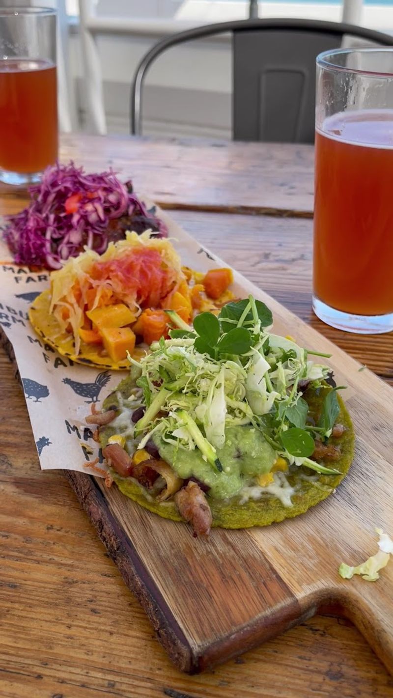 Oysters, Steak Tacos, and a Menu Built for Adventurous Eaters Oysters, Steak Tacos, and a Menu Built for Adventurous Eaters