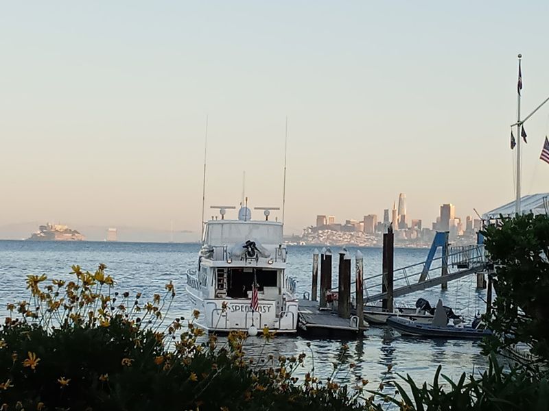 Oysters on the Half Shell by the Bay