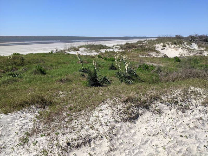 Packing Smart for a Day on Sapelo Island