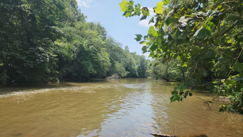 Paddling Up The South Tyger River Is An Underrated Adventure Paddling Up The South Tyger River Is An Underrated Adventure
