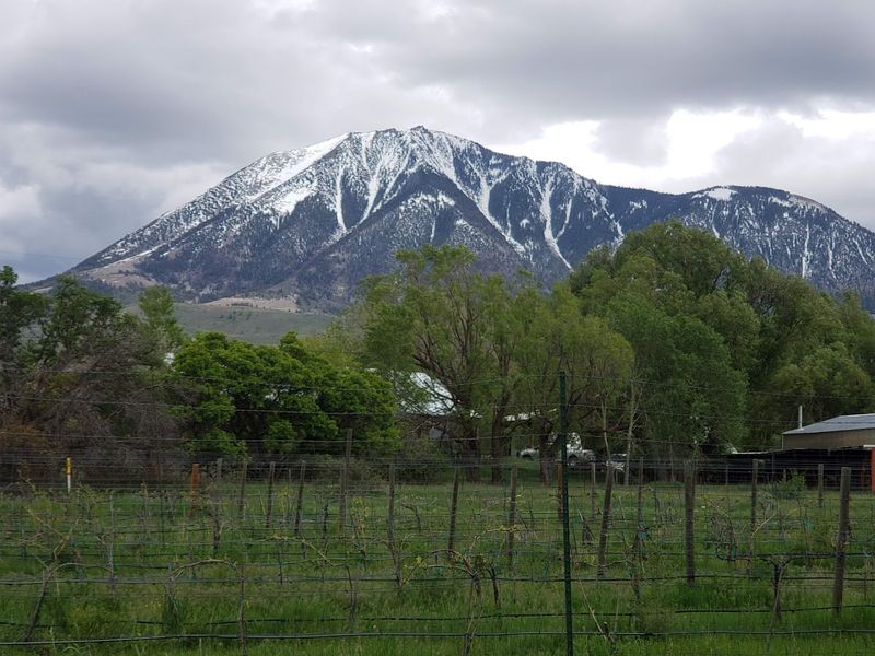Paonia, Colorado