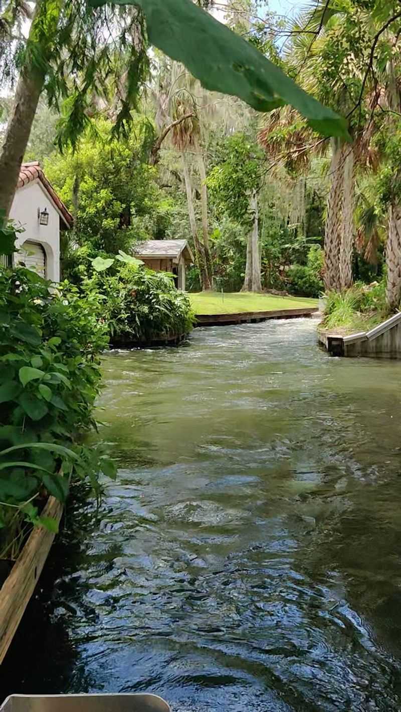 Park Avenue Is Just Steps Away for Post-Paddle Dining