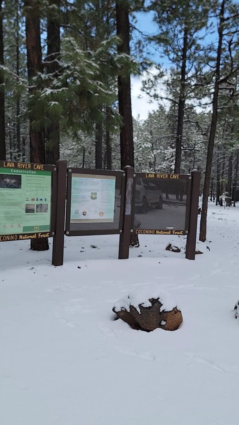 Parking, Bathrooms, and What to Expect at the Trailhead