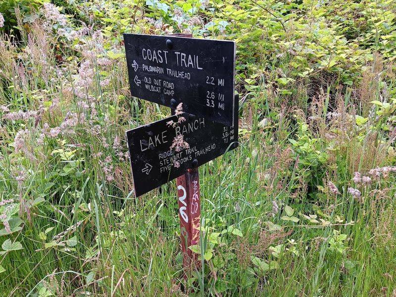 Parking, Trailhead Info, and Getting There Early