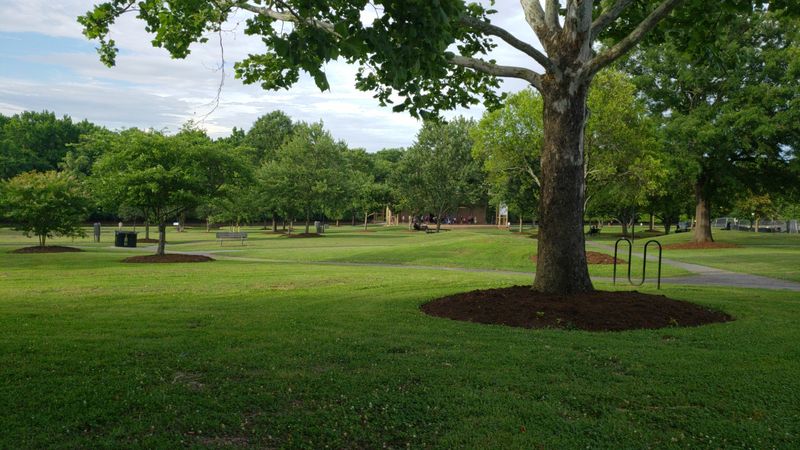 Parks and Green Spaces for an Active Retirement