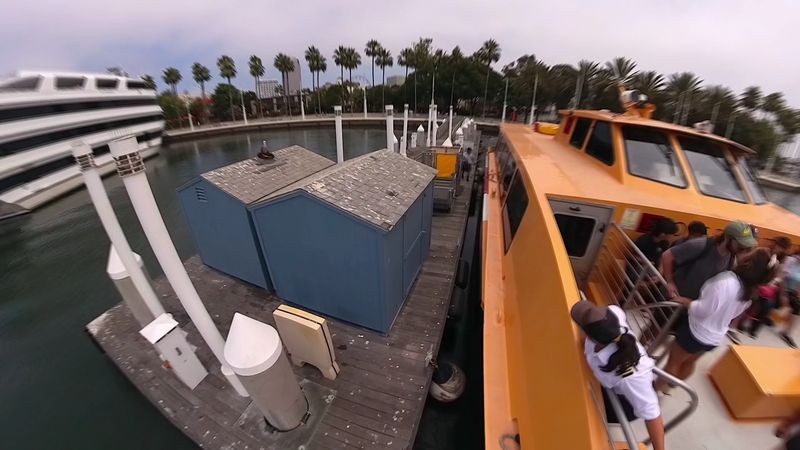 Payment Options: Cash, Card, or the LB Transit App