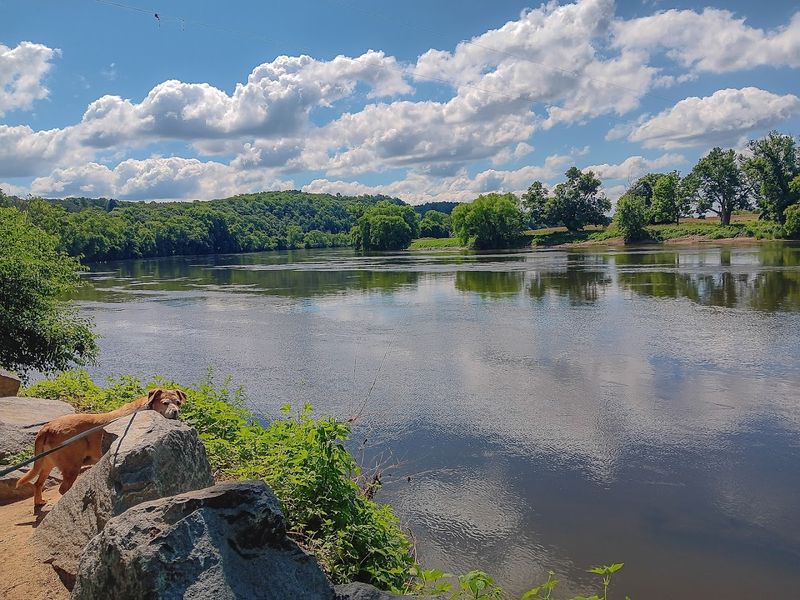 Peaceful Camping Spots Near the James River