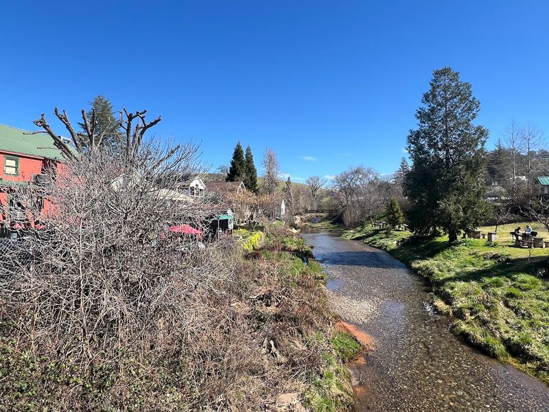 Peaceful Creek-Side Walks That Slow Time Down