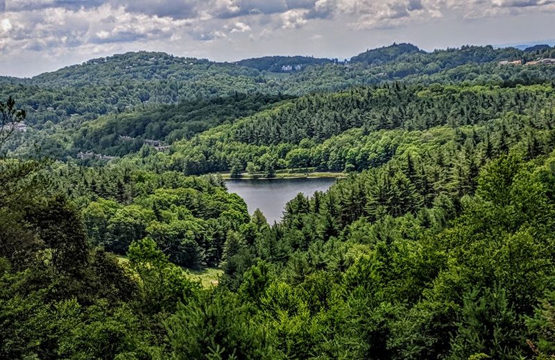 Peaceful Forest Walks and Wildlife Watching